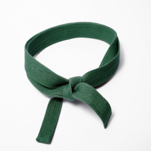 LSSGB (Lean Six Sigma Green Belt)
