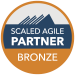 Thumb_Scaled Agile Partner_Bronze